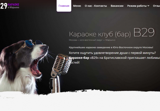 Портфолио караоке клуб (бар) B29 в Марьино (Москва)